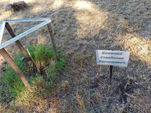 Цинічний злочин: у Кам&#039;янському вандали знищили пам&#039;ятні дерева, висаджені на честь загиблих воїнів