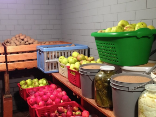 Як позбутися сирості в льоху за допомогою бюджетних способів - рекомендації від агрономів