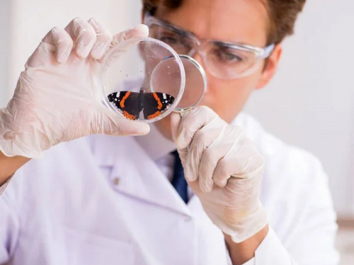 Світ незвичайних професій: п’ять реальних фахівців, які звучать як вигадка