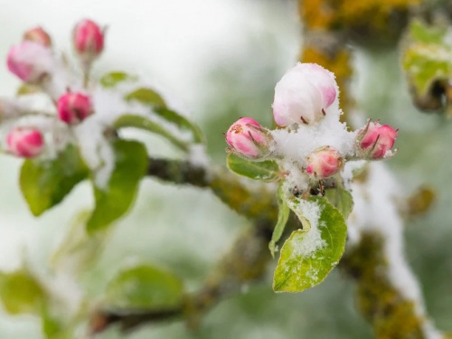 Арктичне похолодання насувається на Україну: якою буде погода в Кам'янському 24-25 квітня