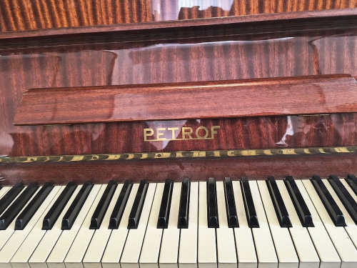 У Кам'янському "оселилося" піаніно старовинного європейського бренду: як звучить справжній PETROF