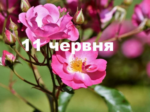 Сьогодні заборонено сваритися - традиції та прикмети 11 червня