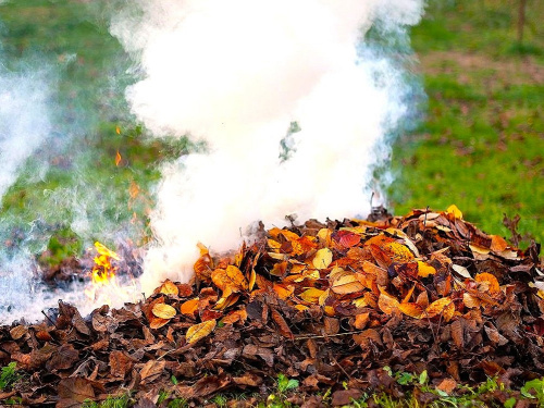 За порушення - штрафи або навіть кримінальна відповідальність: мешканцям Дніпропетровщини нагадали про заборону спалювання листя