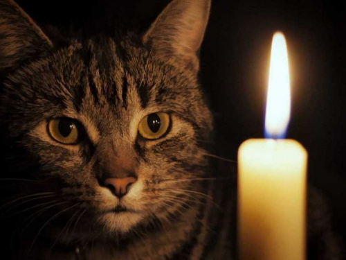 Десятки вулиць Кам’янського залишаться без світла 13 березня: перелік адрес та час відключень