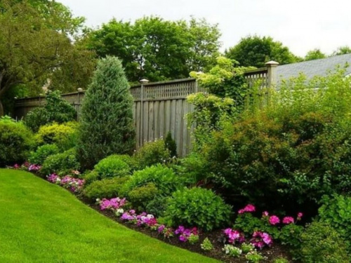 Що посадити у квітні біля паркану: секрети ідеального зеленого куточка