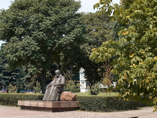 На території Кам’янського існує п’ять головних площ 