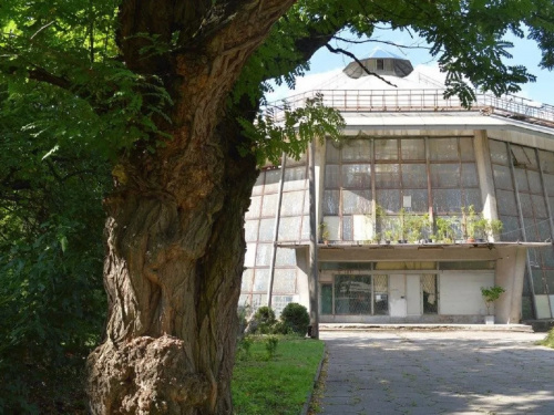 Кам’янчани можуть відвідати майстер-класи та унікальну оранжерею: березнева програма Ботсаду ДНУ