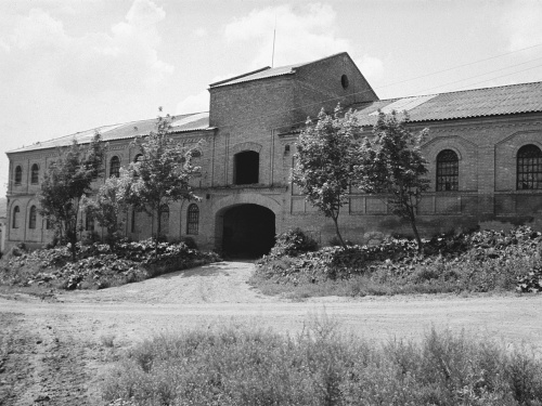Німецька спадщина на Дніпропетровщині: що залишилося від старих менонітських колоній
