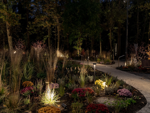 Команда Expolight з Дніпра створила інноваційний Терапевтичний Сад для ветеранів у Києві