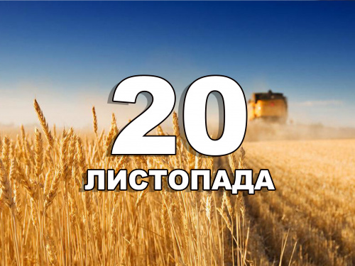 Сьогодні не можна прати постільну білизну та виходити на вулицю - прикмети 20 листопада