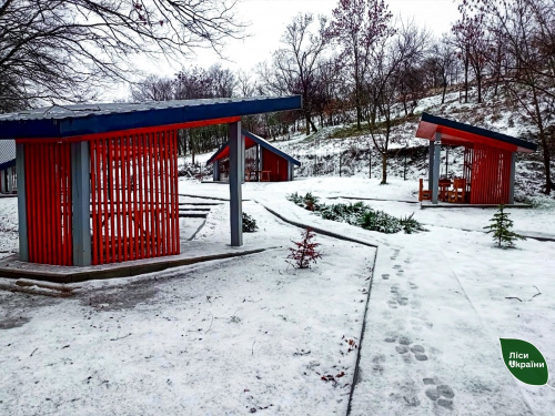Ліс, комфорт і казкові краєвиди: біля Кам’янського відкрили унікальну безкоштовну зону відпочинку - подробиці