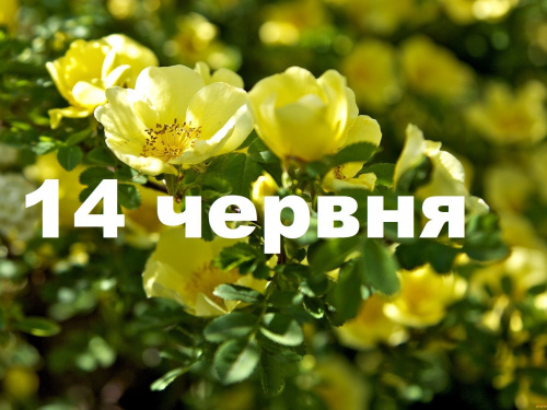 Сьогодні не варто лінуватися і не можна вживати алкоголь: традиції та прикмети 14 червня
