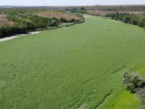 Дніпропетровщині критично необхідна відбудова Каховської ГЕС