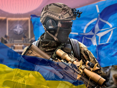 Штраф скасують автоматично: за які порушення військового обліку більше не зможуть покарати українців