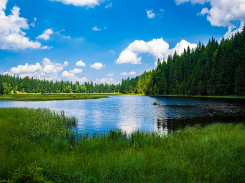 Забруднення води на Дніпропетровщині: еколог розповів, наскільки серйозна проблема і чому