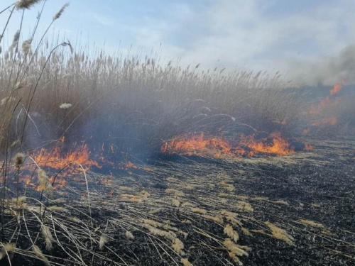 За крок від катастрофи: рятувальники загасили пожежу біля кам'янського притулку для тварин