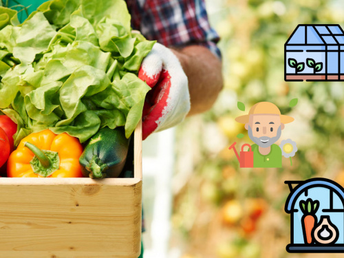 Посівний календар на травень 2026: сприятливі дні для робіт на городі