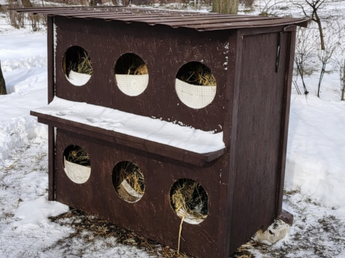 У Кам’янському з’явився перший «котоготель»: приклад небайдужості мешканців