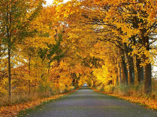 Погода у Кам’янському з 6 по 10 жовтня: осіннє тепло та прохолодні ночі