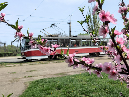 На Кам'янське насувається потужний атмосферний фронт - містян очікує стрімке похолодання