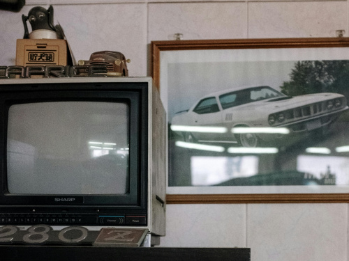 Приватна колекція ретроавто СРСР на Дніпропетровщині: чимала збірка техніки гниє у Підгородньому