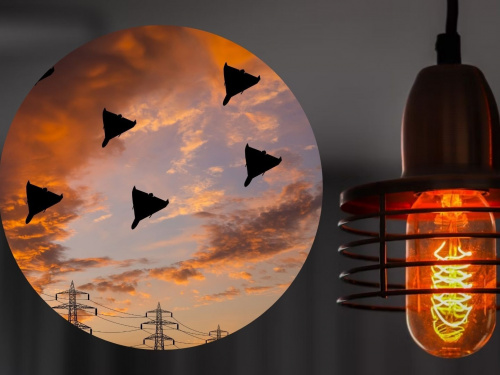 Енергетичний лабіринт Дніпропетровщини 29 листопада: як вижити без світла за новим графіком