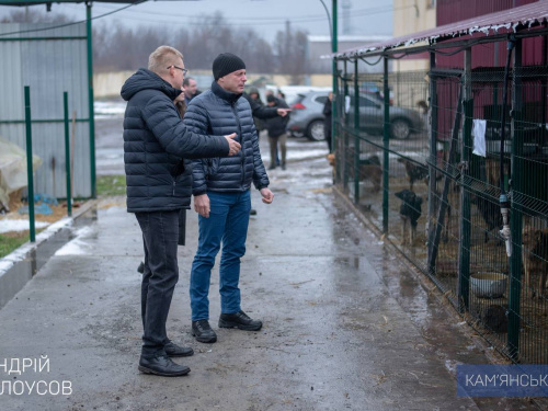 Мер Кам'янського Білоусов відвідав притулок для тварин - що пообіцяв