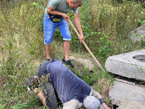 У Кам'янському врятували мешканців від агресивної зграї собак - фото