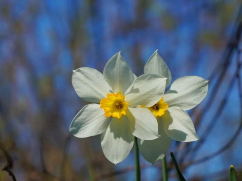 Погода у Кам’янському на тиждень з 13 по 17 квітня 2026: коли очікувати пік тепла