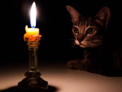 Графіки відключення світла в Дніпрі та регіоні 24 грудня - інформація від ДТЕК