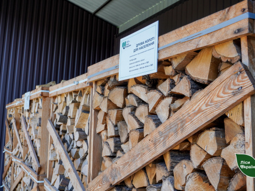 Таких цін ще не було: деякі види дров можуть здорожчати на 25% вже цієї зими
