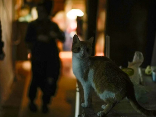 Зміни у графіках та ситуація в мережі: як вимикатимуть світло на Дніпропетровщині 11 березня