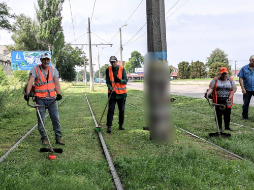 На трамвайних коліях Кам'янського боролися з травою: фотофакт