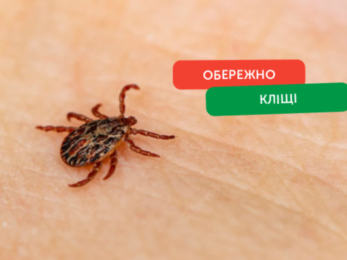 Сезон полювання на людей відкритий: Держпродспоживслужба попереджає про пік активності кліщів на Дніпропетровщині у березні 2026 року