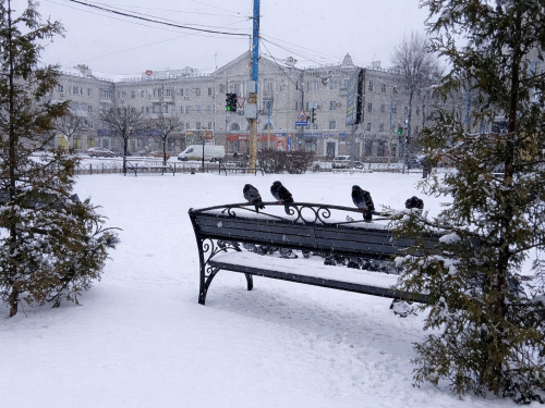 Хуртовини, тумани та ожеледиця: чим дивував січень жителів Дніпропетровщини