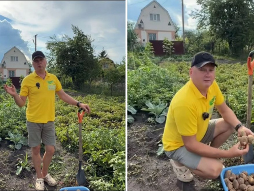 Що обов'язково потрібно зробити на грядках у серпні, щоб земля відпочила і дала подвійний врожай наступного року