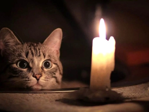 У Кам'янському 25 лютого вимикатимуть світло: графік та адреси відключень