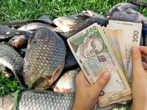 Дніпропетровщині завдано майже 6 млн грн збитків: підсумки нерестової заборони