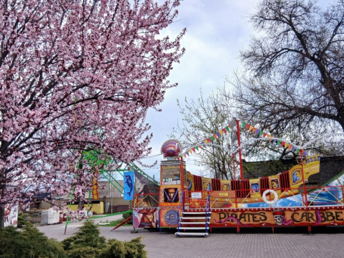 Весняна симфонія кольорів: як змінюється Центральний парк Кам’янського у квітні