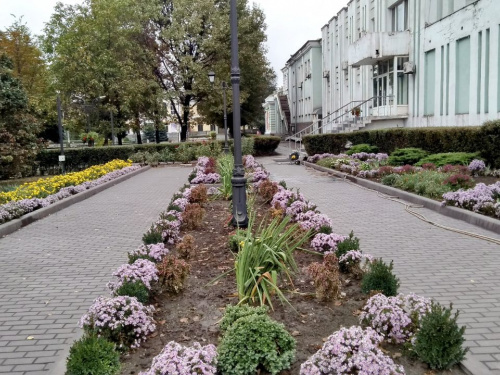 Відкрийте для себе осіннє Кам&#039;янське: фотопрогулянка містом