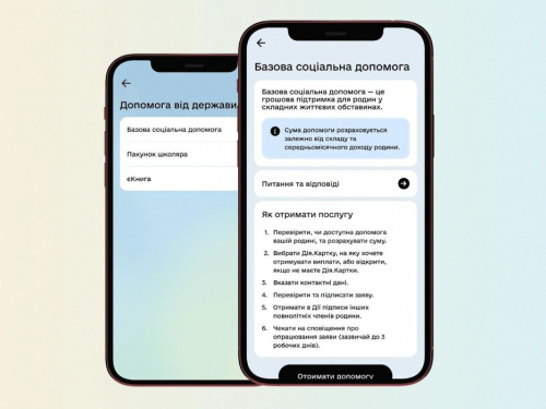 У «Дії» з’явилася базова соціальна допомога: як подати єдиний запит на декілька виплат - відеоінструкція