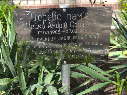 У Кам’янському висадили сакури на честь полеглого Героя
