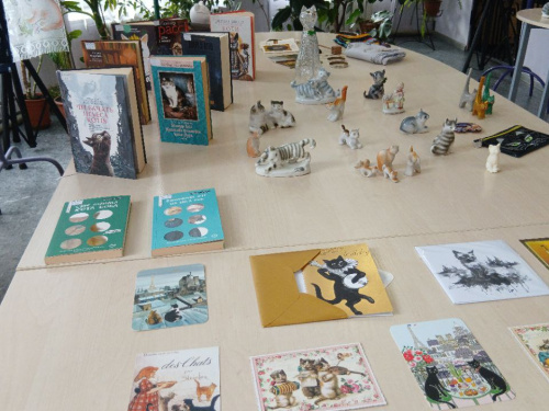 У Кам’янському хобі-клуб "Колекціонер" стартував із "котячої" зустрічі