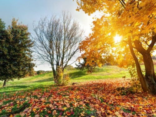 Прогноз погоди у Кам’янському на 25 та 26 жовтня: хмарні вихідні з помірними температурами