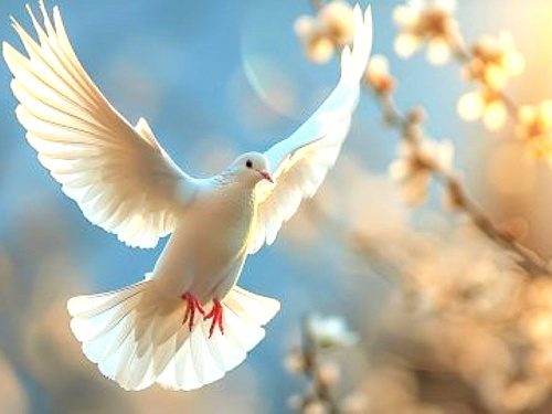 Завтра віряни святкують Стрітення: традиції, символіка та народні прикмети