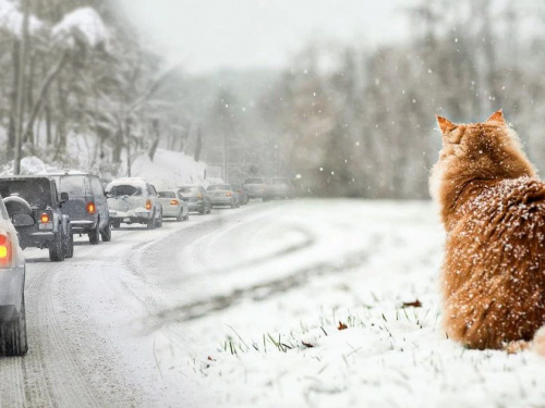 Сонячні вихідні: детальний прогноз погоди в Кам'янському на вихідні 20 та 21 грудня