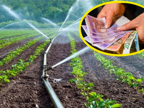 Тариф залежатиме від дощів: у Кам’янському розпочався сезон поливу городів