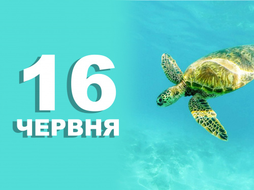 Сьогодні не можна лихословити і сваритися з рідними - прикмети 16 червня