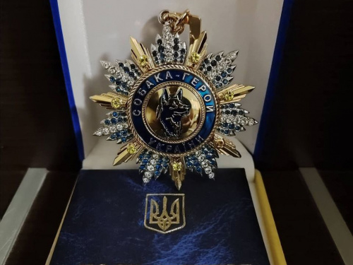 Чотирилапа рятівниця з Дніпропетровщини отримала орден «Собака-герой України» - подробиці