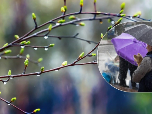 Тиждень парасольок: у Кам’янському очікується похолодання та опади